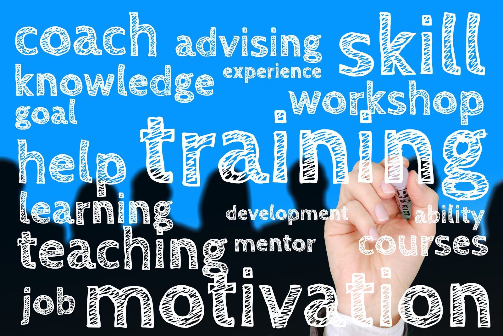 Building Stakeholder Capability for Organisational Effectiveness